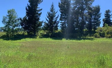 Venta Parcela Villarrica Ñancul