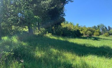 Venta Parcela Villarrica Ñancul