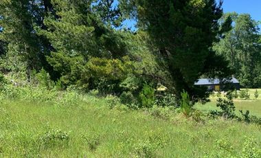 Venta Parcela Villarrica Ñancul