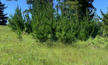 Venta Parcela Villarrica Ñancul