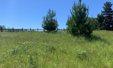 Venta Parcela Villarrica Ñancul