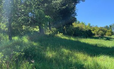 Venta Parcela Villarrica Ñancul