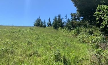 Venta Parcela Villarrica Ñancul