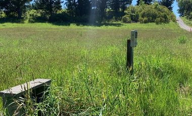 Venta Parcela Villarrica Ñancul