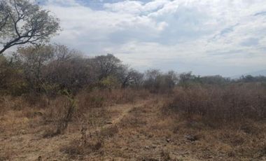 EXCELENTE PREDIO CERCA DE ZAPOTLANEJO