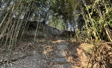 Complejo con bajada al rio en un lugar único de Villa los Aromos