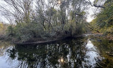 Complejo con bajada al rio en un lugar único de Villa los Aromos