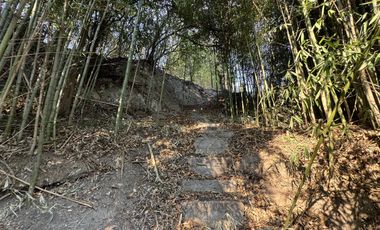 Complejo con bajada al rio en un lugar único de Villa los Aromos