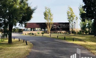 Terreno en  Venta Haras de Funes