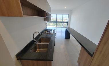 DEPARTAMENTO EN VENTA EN TORRE LOMA SUR