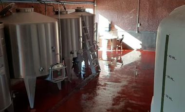 Bodega en Venta en Cafayate - Salta