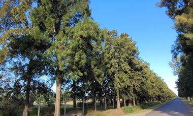 Terreno en  Haras de Funes 1012 m2