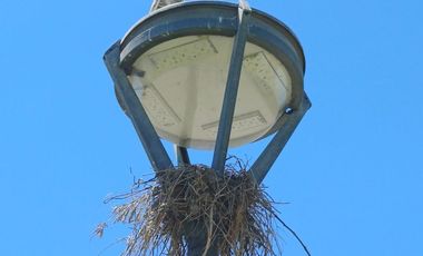 Lote en Venta en Santa Clara - San Vicente