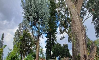 Venta De Casa En Dapa, Cali, Yumbo, Campestre, Finca