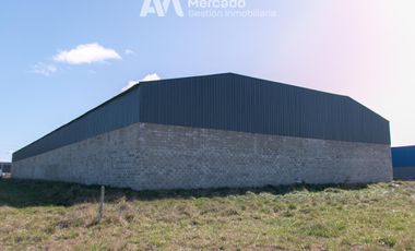 Deposito Nave Industrial San Vicente 4.400 mts totales