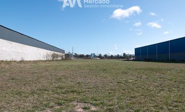 Deposito Nave Industrial San Vicente 4.400 mts totales