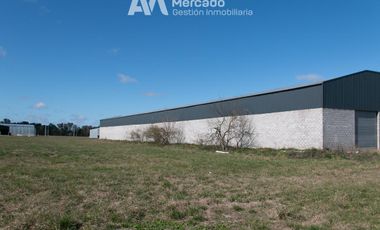 Deposito Nave Industrial San Vicente 4.400 mts totales