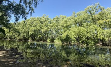 Venta - Casa Quinta con Pileta y costa de Río - Paso Cordova - C063