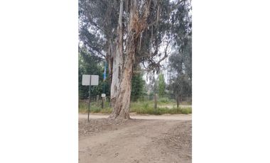 QUILPUÉ - VENTA TERRENO - 2 LOTES JUNTOS