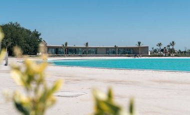 VENTA LOTE VIDA LAGOON