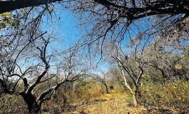 OPORTUNIDAD EN LA ZONA CON MAYOR PLUSVALÍA -  VENTA TERRENO EN TEPOZTLAN MORELOS