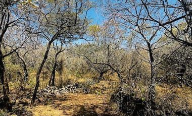 OPORTUNIDAD EN LA ZONA CON MAYOR PLUSVALÍA -  VENTA TERRENO EN TEPOZTLAN MORELOS