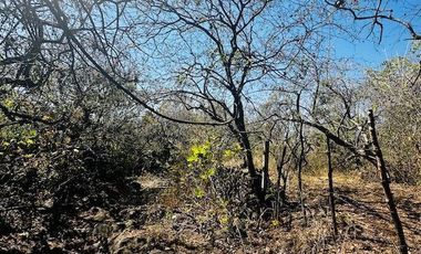 OPORTUNIDAD EN LA ZONA CON MAYOR PLUSVALÍA -  VENTA TERRENO EN TEPOZTLAN MORELOS