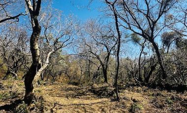 OPORTUNIDAD EN LA ZONA CON MAYOR PLUSVALÍA -  VENTA TERRENO EN TEPOZTLAN MORELOS