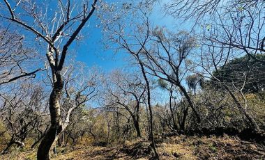 OPORTUNIDAD EN LA ZONA CON MAYOR PLUSVALÍA -  VENTA TERRENO EN TEPOZTLAN MORELOS