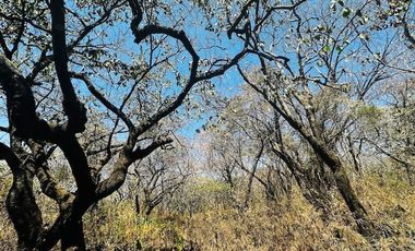 OPORTUNIDAD EN LA ZONA CON MAYOR PLUSVALÍA -  VENTA TERRENO EN TEPOZTLAN MORELOS