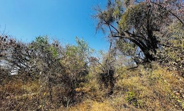 OPORTUNIDAD EN LA ZONA CON MAYOR PLUSVALÍA -  VENTA TERRENO EN TEPOZTLAN MORELOS