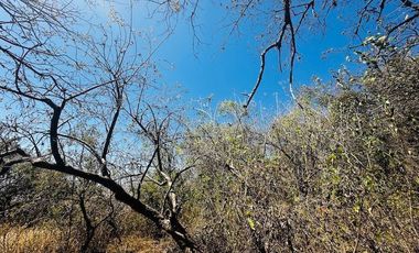 OPORTUNIDAD EN LA ZONA CON MAYOR PLUSVALÍA -  VENTA TERRENO EN TEPOZTLAN MORELOS