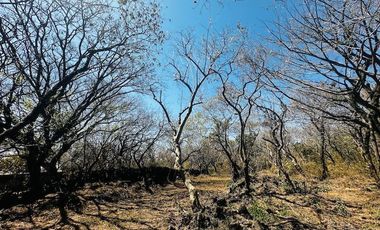 OPORTUNIDAD EN LA ZONA CON MAYOR PLUSVALÍA -  VENTA TERRENO EN TEPOZTLAN MORELOS
