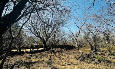 OPORTUNIDAD EN LA ZONA CON MAYOR PLUSVALÍA -  VENTA TERRENO EN TEPOZTLAN MORELOS