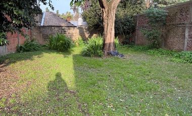 530 Nº155 entre 118 y 119