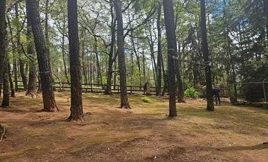 VENTA CABAÑA EN TAPALPA