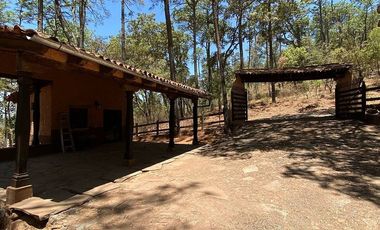 VENTA CABAÑA EN TAPALPA