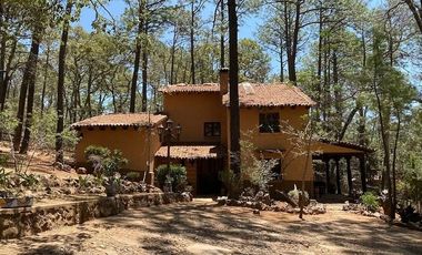 VENTA CABAÑA EN TAPALPA