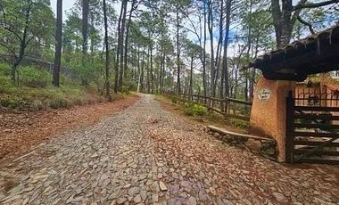 VENTA CABAÑA EN TAPALPA
