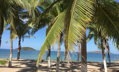 VENTA TERRENO A PIE DE PLAYA ZONA CHAMELA JALISCO