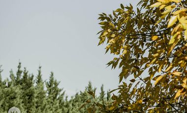 Cannes - Barrio Privado