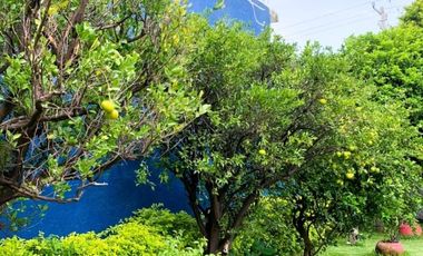 Excelente Casa al Natural en un espacio libre