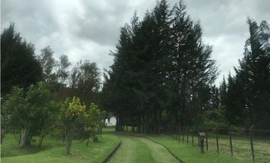 ARRIENDO PIFO QUINTA 4543 M2- 3 DORMITORIOS CONJUNTO PRIVADO SEGURIDAD
