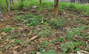 Se Vende Lote Campestre En La Cumbre Valle, Sector Acuavalle