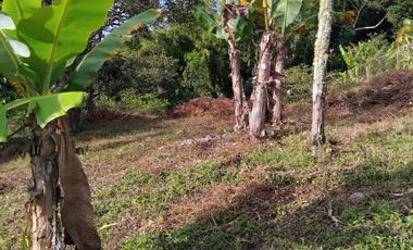 Se Vende Lote Campestre En La Cumbre