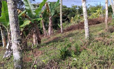 Se Vende Lote Campestre En La Cumbre