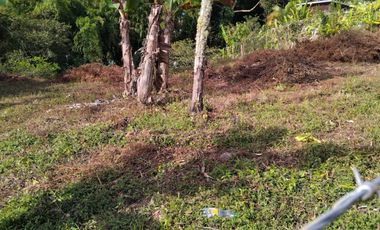 Se Vende Lote Campestre En La Cumbre