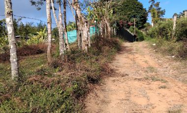 Se Vende Lote Campestre En La Cumbre