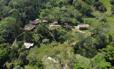 Se Vende Finca La Loma En Santa Barbara, Antioquia