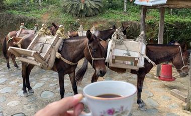 Se Vende Finca La Loma En Santa Barbara, Antioquia